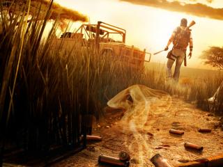 обои Games Far Cry 2 cartridges фото