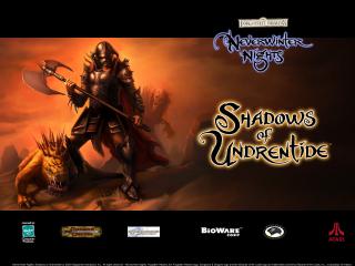 обои Neverwinter Nights - Shadows of Undrentide фото