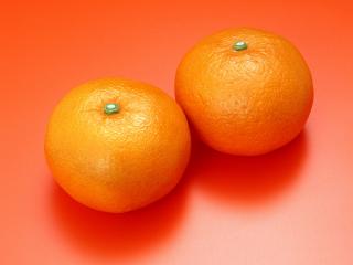 обои Mandarin Orange (Tangerine) фото