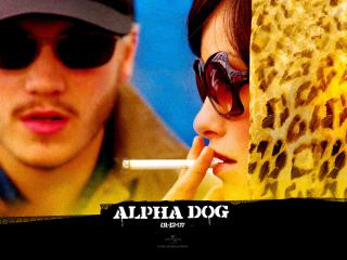 обои Alpha Dog фото
