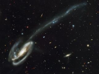 обои Disrupted Spiral Galaxy Arp 188,   the Tadpole Galaxy фото