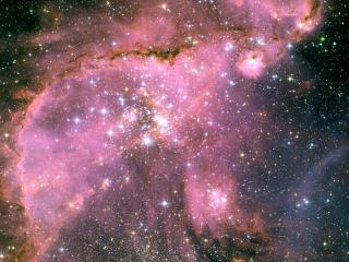 обои Young Stars in the Small Magellanic Cloud,   NGC 346 фото