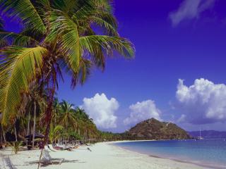 обои Летний пляж с пальмами фото