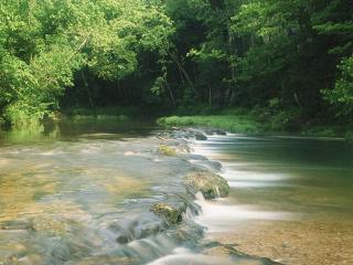 обои Быстрый летний ручей, у зеленых крон деревьев фото