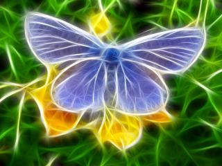обои Голубая бабочка фото
