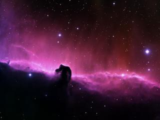 обои для рабочего стола: Horse Head Nebula