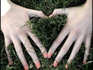 обои Сердце руками, на траве фото