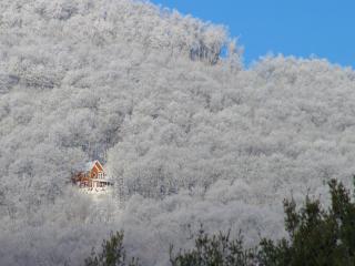 обои Домик среди снежных деревьев фото