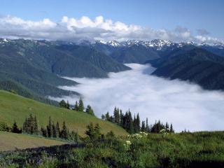 обои Olympic Peninsula фото