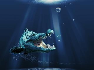 обои Крокодил под водой фото