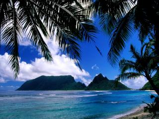 обои для рабочего стола: Ofu Island,   American Samoa