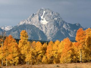 обои для рабочего стола: Mount Moran in Autumn,   Wyoming