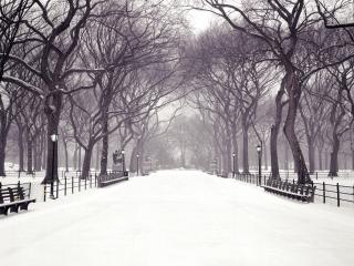 обои Statuary Walk,   Central Park,   New York City,   New York фото