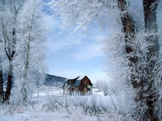 обои Winter Wonderland,   Steamboat Springs,   Colorado фото