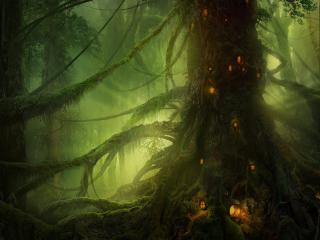 обои Дерево во мрачном лесу фото