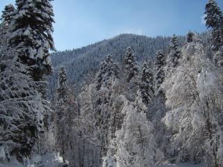 обои Горный пейзаж зимой фото