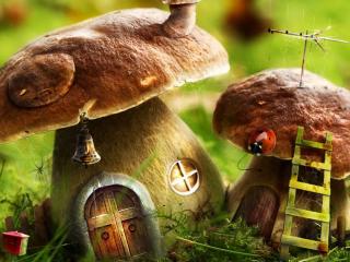 обои Домики из грибов фото
