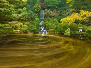 обои Декоративный пруд в японском саду с водопадом фото