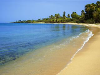 обои для рабочего стола: Green Beach,   Island of Vieques,   Puerto Rico