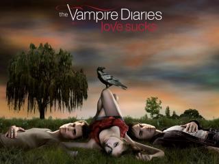обои The Vampire Diaries фото
