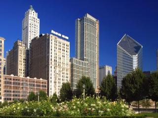 обои Chicago Skyline From Millennium Park,   Illinois фото