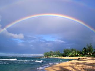 обои Красивая четкая радуга у берега моря фото