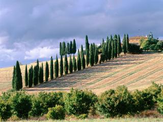 обои Val dґOrcia,   Italy фото