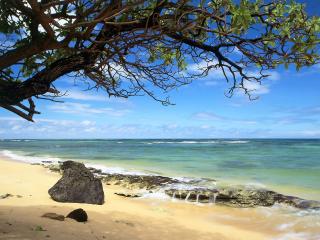 обои Kanenelu Beach,   Oahu,   Hawaii фото