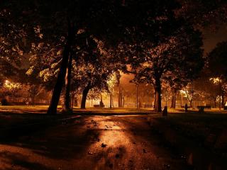 обои Ночь в городском парке фото