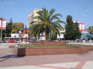 обои Пальма на городской площади фото