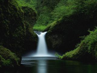 обои Одинокий водопад в лесной глуши фото