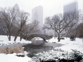 обои Центральный парк зимой фото
