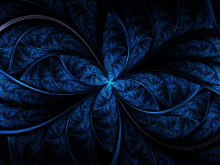 обои 3D-graphics blue flouwer фото