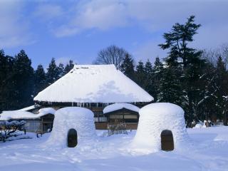 обои Дом в зимнем лесу фото