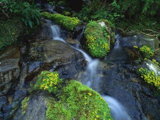 обои Вода точит камни, весенний ручей фото