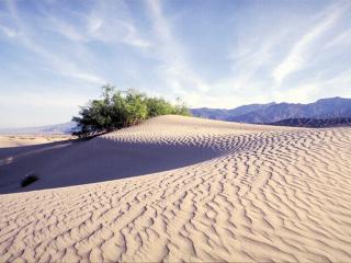 обои Песчаные барханы фото
