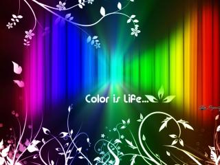 обои Color is life фото