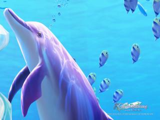 обои Дельфин и рыбы фото