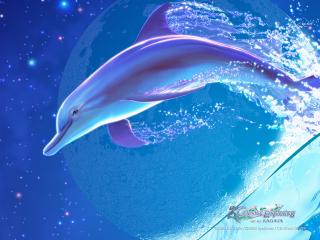обои Дельфин и луна фото