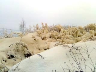 обои Жуткая зима с аномальным цветом снега фото