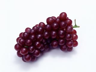 обои Сиреневая гроздь винограда с плотными сочными ягодами фото