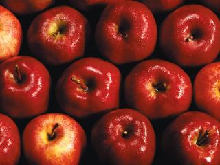 обои Запас красных блестящих яблок фото