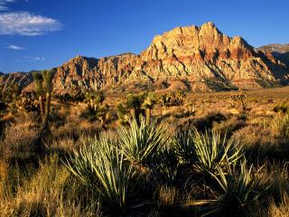 обои для рабочего стола: Red Rock Canyon,   Nevada