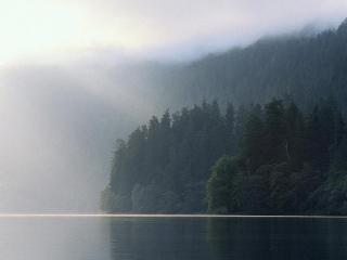 обои Утренний туман на таёжной реке фото
