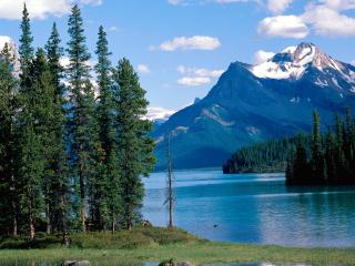 обои Maligne Lake,   Jasper National Park,   Alberta,   Canada фото