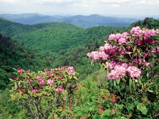 обои для рабочего стола: Blue Ridge Parkway,   North Carolina