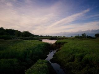 обои для рабочего стола: Летний ручей, среди зеленых полей на восходе