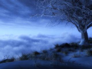 обои Одинокое дерево в пустынной долине под зведным ночным небом фото