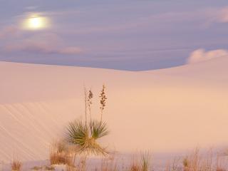 обои Full Moon Over Dunes,   White Sands National Monument,   New Mexico фото