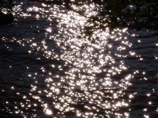 обои Солнечные лучики в журчащей речке фото